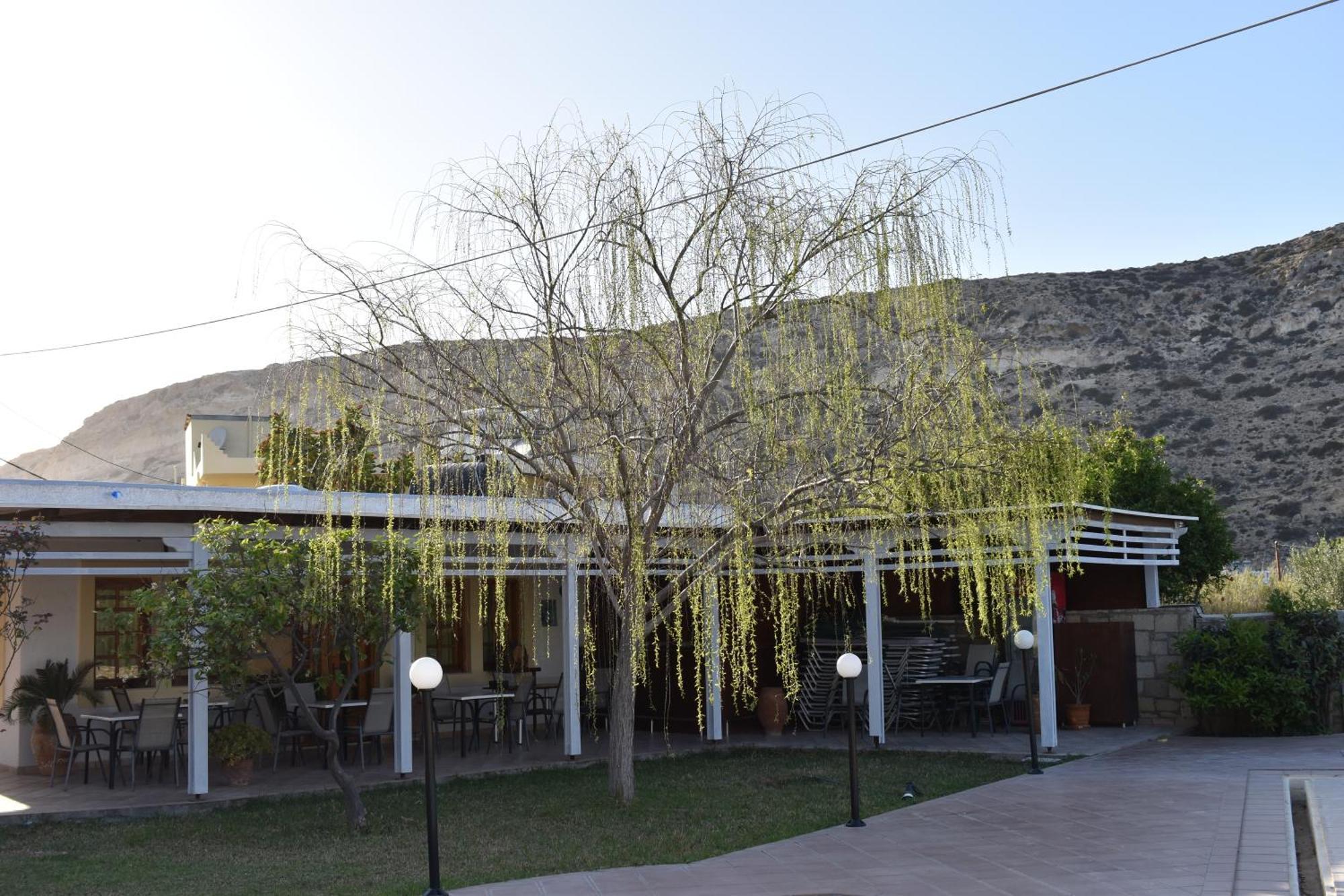 Dimitris Villa Hotel Matala Eksteriør bilde