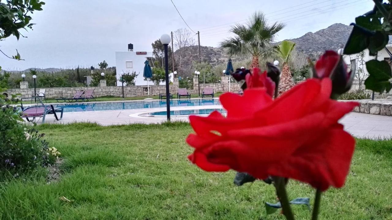 Dimitris Villa Hotel Matala Eksteriør bilde