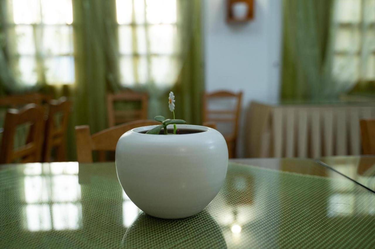 Dimitris Villa Hotel Matala Eksteriør bilde